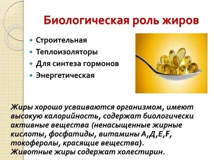 Физиологическая роль жиров