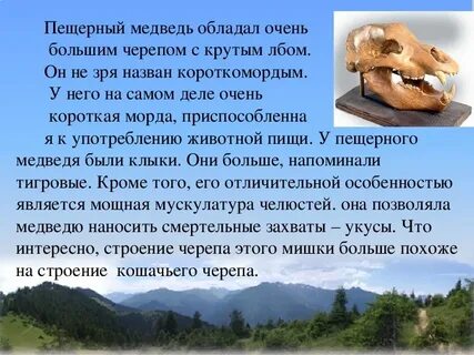 Реферат як