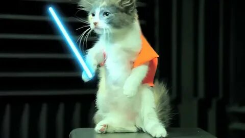 Включи видео скоро