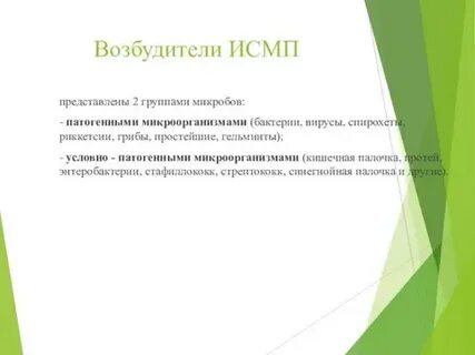 Синегнойная палочка условно патогенный микроорганизм