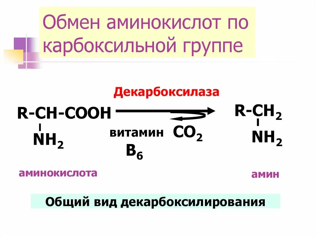 Белок аминокислоты аминогруппа карбоксильная группа схема. Аминокислоты общая формула класса. Гетерофункциональные органические соединения. Амино карбоксильная группа. Строение белков аминогруппа и карбоксильная.