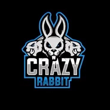 Флаффи банни дерпиксон. Crazy rabbit sparkle. Футболка детская crazy. Crazy rabbit sparkle. Твайлайт спаркл crazy.