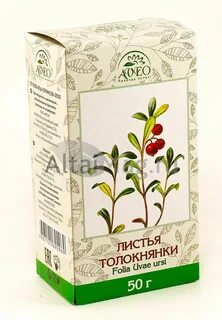 Экстракт толокнянки