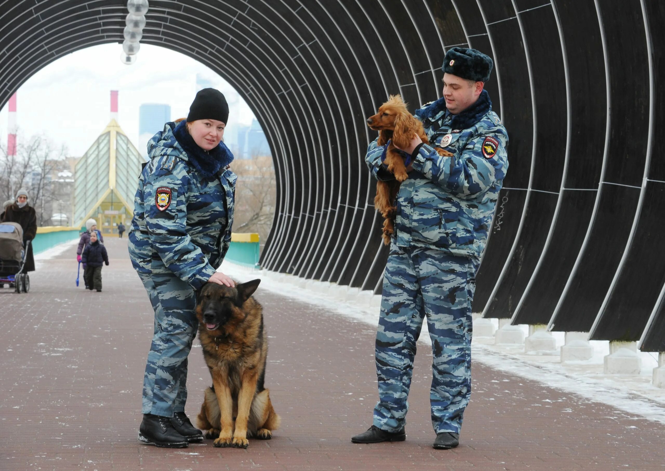 Кинолог с собакой в крокусе. Кинологи России. Лучшие кинологи России. Лучший кинолог России. Кинолог Москва.