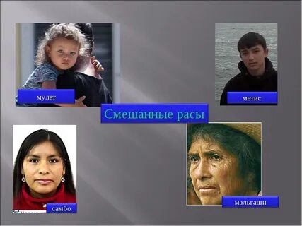 Родство человеческих рас
