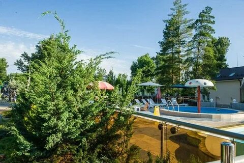 Елочка ростов