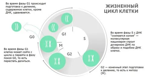 Подготовка происходить
