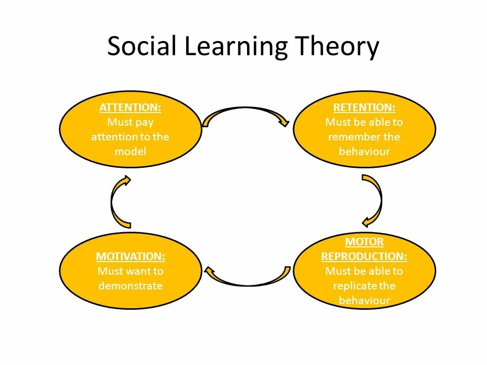 Learned societies. Social cognitive Theory Bandura. Social Learning Theory. Bandura social Learning. Social Styles модель.