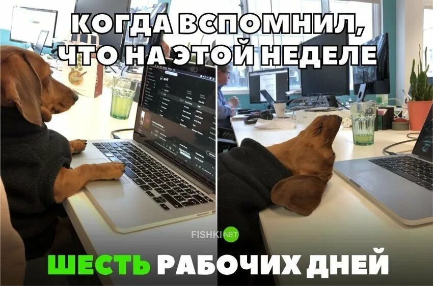 Конец рабочей субботы. Шутки про рабочую субботу. Рабочая суббота картинки прикольные. Рабочая суббота приколы в картинках. Статус про рабочую субботу.