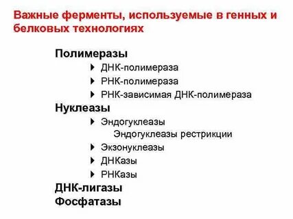 Обработка ферментом
