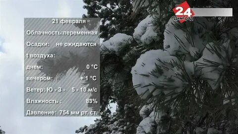 Погода в димитровграде на ноябрь