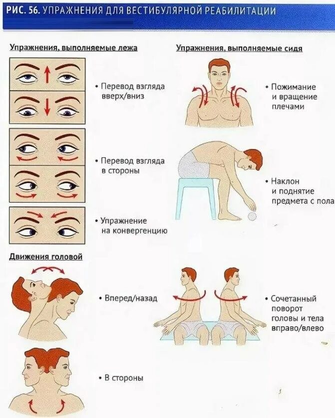 Почему лежа при поворотах кружится голова