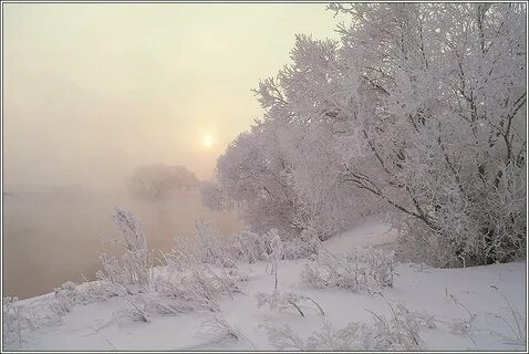 Точно пеленою что значит
