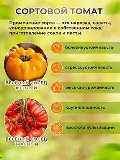 Томаты веселый сосед описание сорта