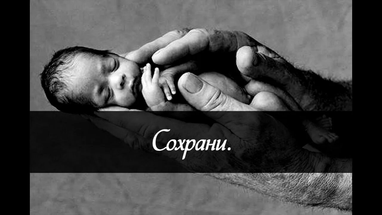 Господь сохранит песня. Сохрани наших детей. Господи Спаси и сохрани наших детей. Спаси и сохрани детей наших. Спаси и сохрани всех детей.