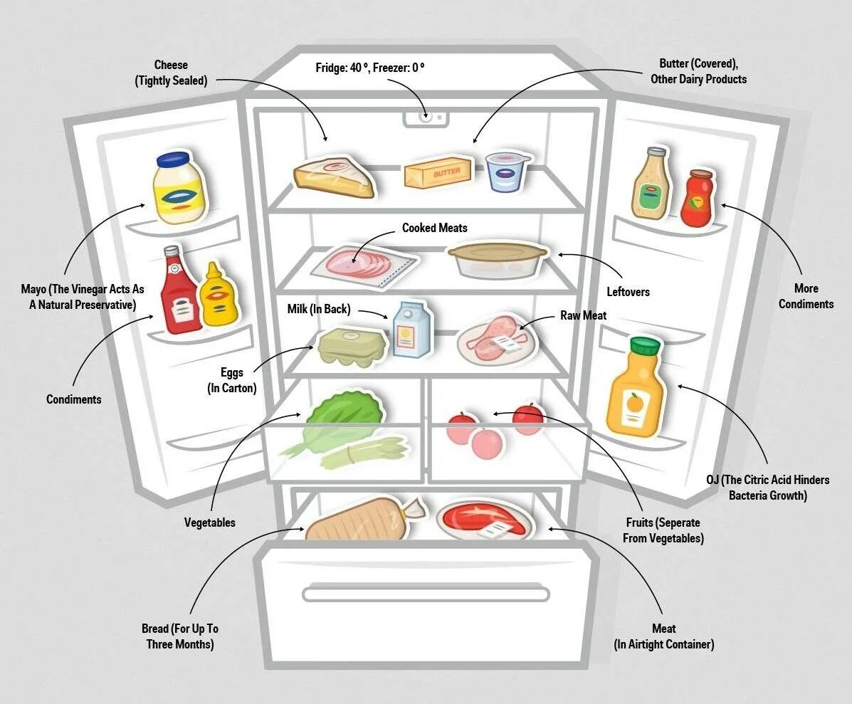 На сколько ставить холодильник. Схема требования хранения продуктов. Холодильник с продуктами. Правильное хранение в холодильнике. Хранение продуктов в холодильнике.