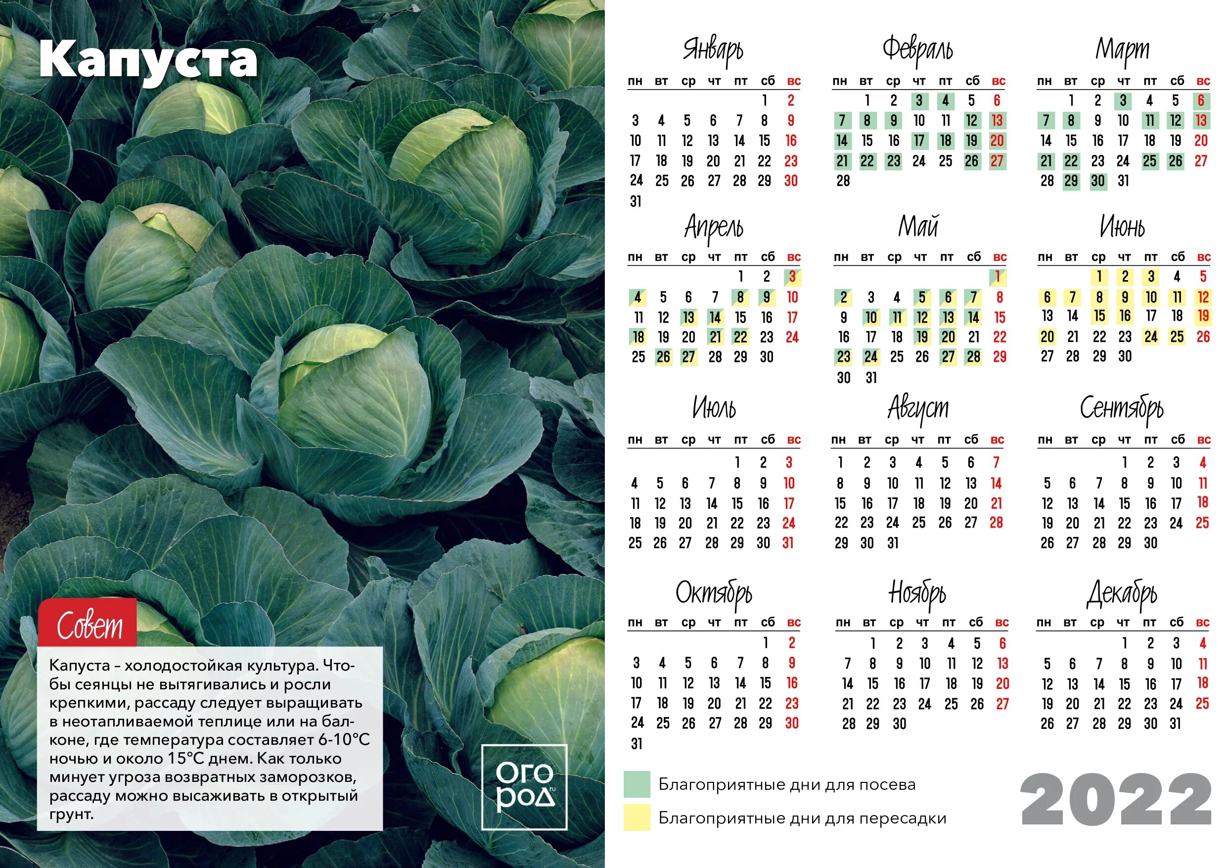 Квашение капусты в феврале 2024 года благоприятные. Лунный календарь 2022. Календарь садовода. Календарь 2022 лунный календарь. Лунный календарь на 2022 год.