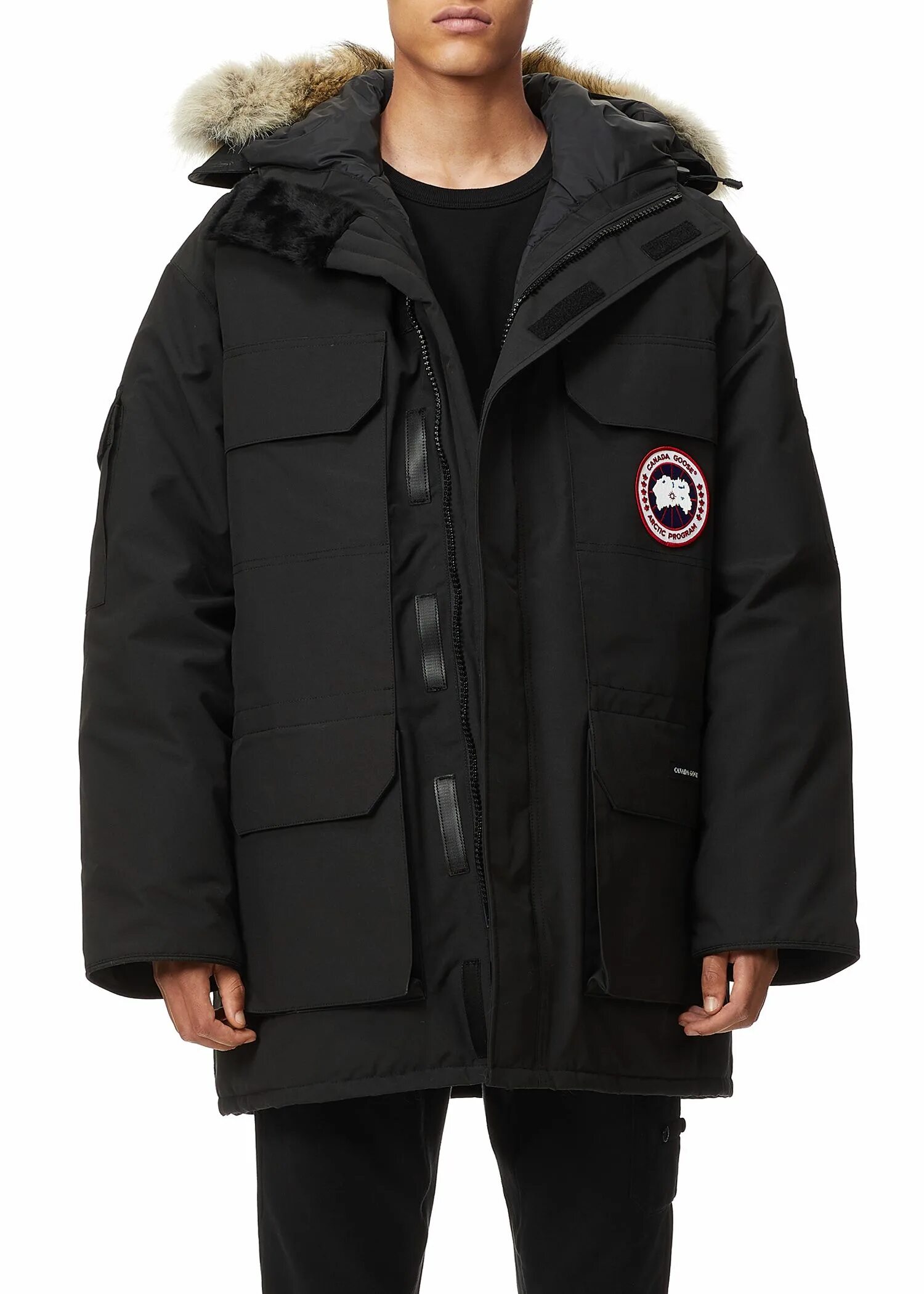 Canada goose сайт. Канада гус триллиум парка. Канада гусь. Canada goose триллиум. Куртка канада гус мужская.