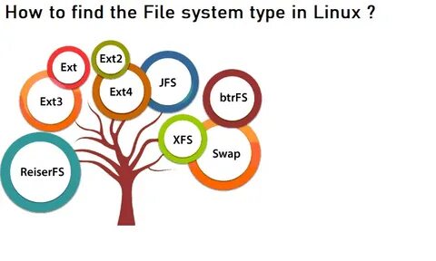 Finding files linux