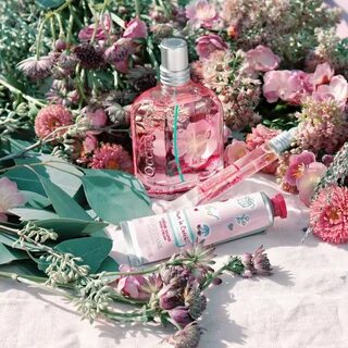 L occitane en provence