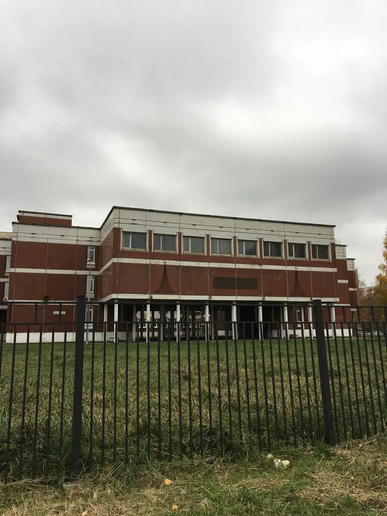 специальная (коррекционная) общеобразовательная школа №31. школа 31 василеостровского района. детский сад 61 невского района. гбоу 31. гбоу ао скош 14 котлас.