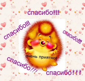 Спасибо за поздравление с днем прикольные