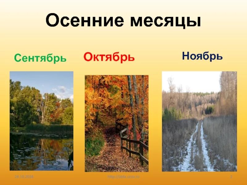 3 месяца сентябрь октябрь ноябрь. Осенние месяцы. три месяца осени. осенние месяцы сентябрь. осень сентябрь октябрь ноябрь.