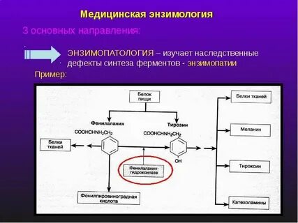 Медицинская энзимология