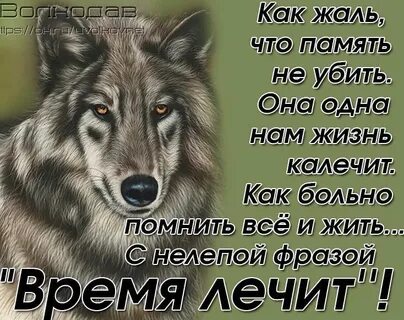 Жаль жаль не верю тебе