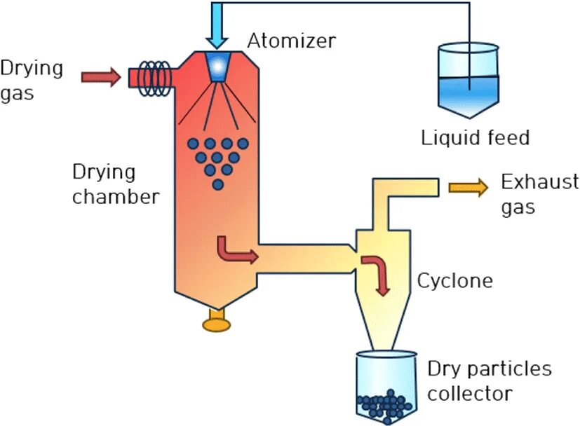 Spray dried. Spray drying sd-8000g. Схема производства портландцемента. Process freeze drying. Dry process.