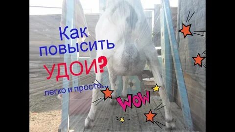 Повысить удой