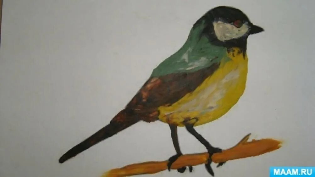 Пластилинография синичкин день. Аппликация кормушка для птиц. Пластилинография синичка средняя группа. Синичка пластилинография. Лепка синичка в подготовительной группе.