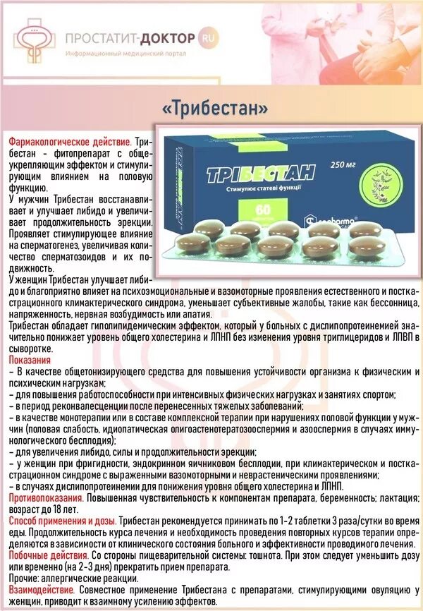 трибестан. трибестан таблетка для женщина. трибестан таблетка для женщина. трибестан инструкция по применению для мужчин. трибестан таблетки.
