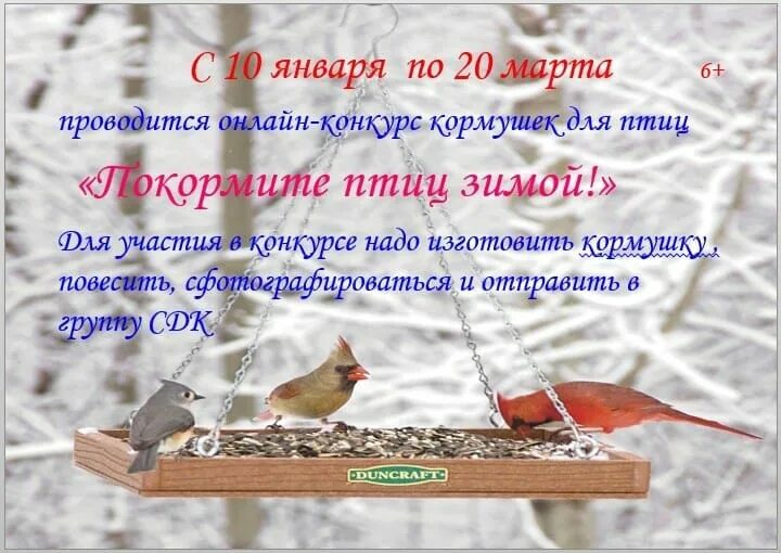 Конкурс покормите птиц. Конкурс покормите птиц зимой 2025. интернет-конкурс кормушек «покормите птиц!». покормите птиц зимой болгар конкурс. план работы покормите птиц зимой 2025.
