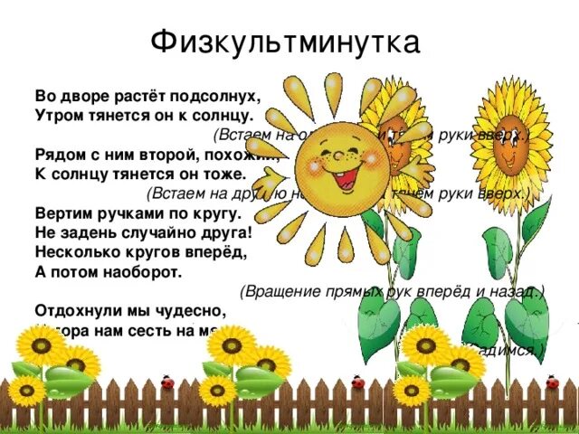 Подсолнушки текст