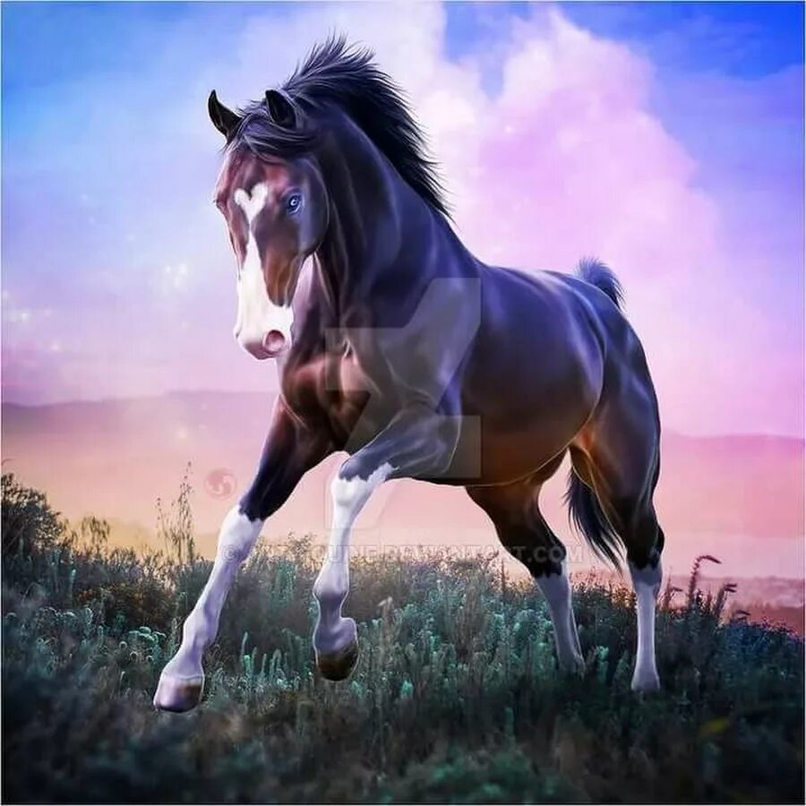 Красивые лошади. Очень красивые лошадки. Лошадь на аву. Аватарки с лошадьми.