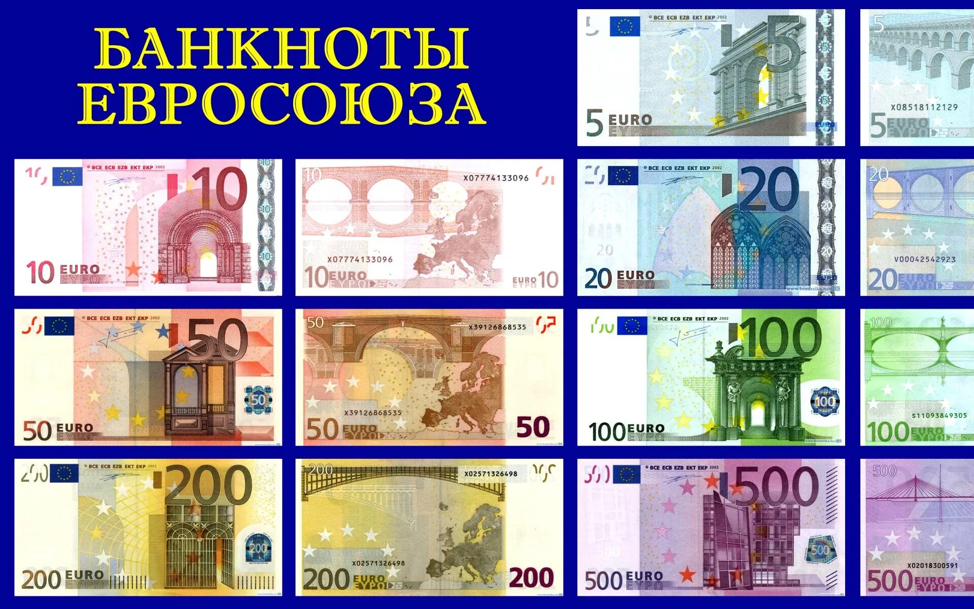 Банкноты Евросоюза. Банкноты евро номинал. Фотографию банкнот Евросоюза. Максимальный номинал евро купюры. Размер евро купюры