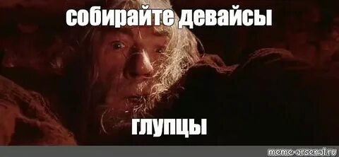 Глупцы не честность