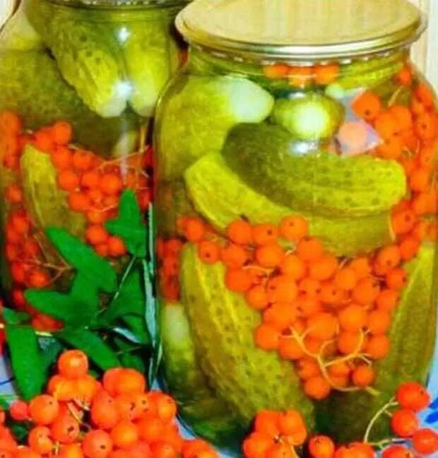Можно ли консервировать зозулю на зиму