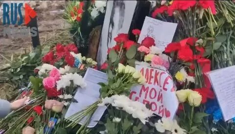 Фото могилы навального сегодня