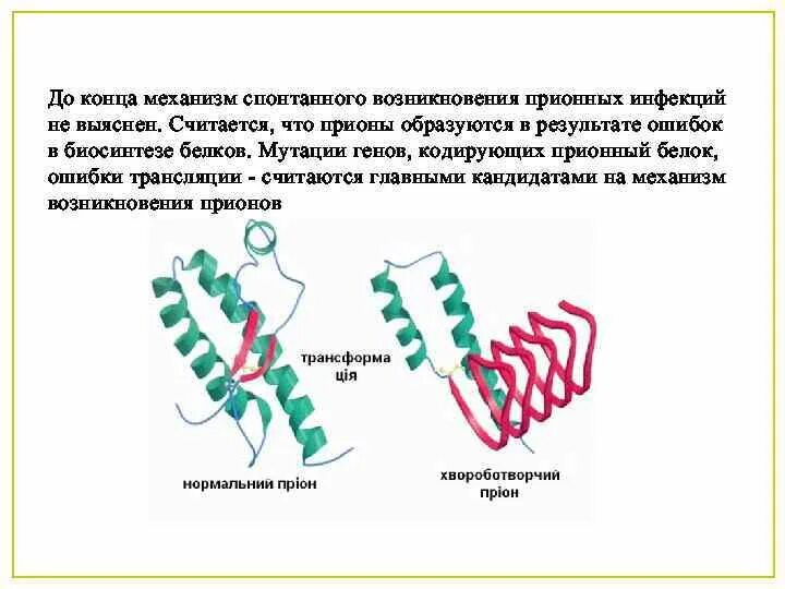 Инфекционные белки. Прионы микробиология. Прионы биохимия. Прионы микробиология. Прион это в микробиологии.