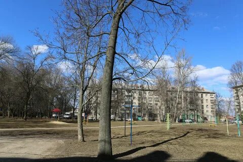 Кутузова тула