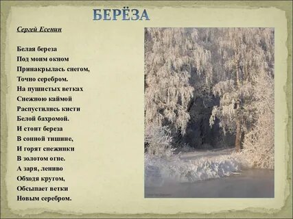 Стихи снег сосна