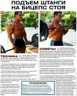 Подъем на бицепс нормативы для мужчин