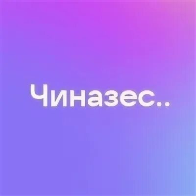 Чиназес сюда