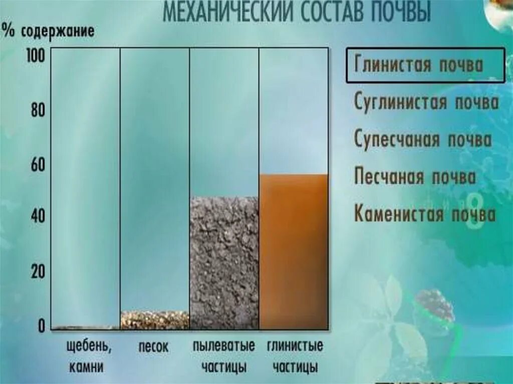 Как понять какая почва