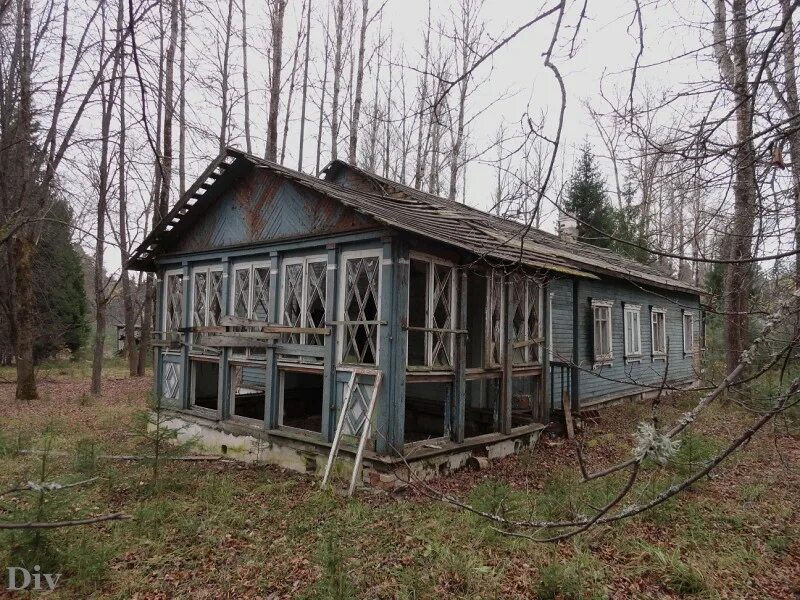 Дол в луге. Заброшенный пионерлагерь «Балтиец».. Пионерский лагерь "зеленое озеро" Лужский. Пионерлагерь Жемчужина Луга. Лагерь Луга ЛЕНОБЛАСТЬ.