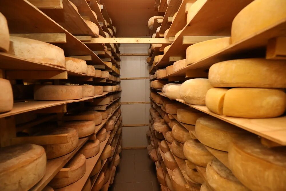 Липецкие сыроварни. Липецкие сыроварни. Масловка липецкая область борев. Раненбург липецкая область сыроварня. Сырная марка рогожино.