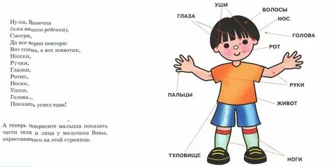 Занятие туловище