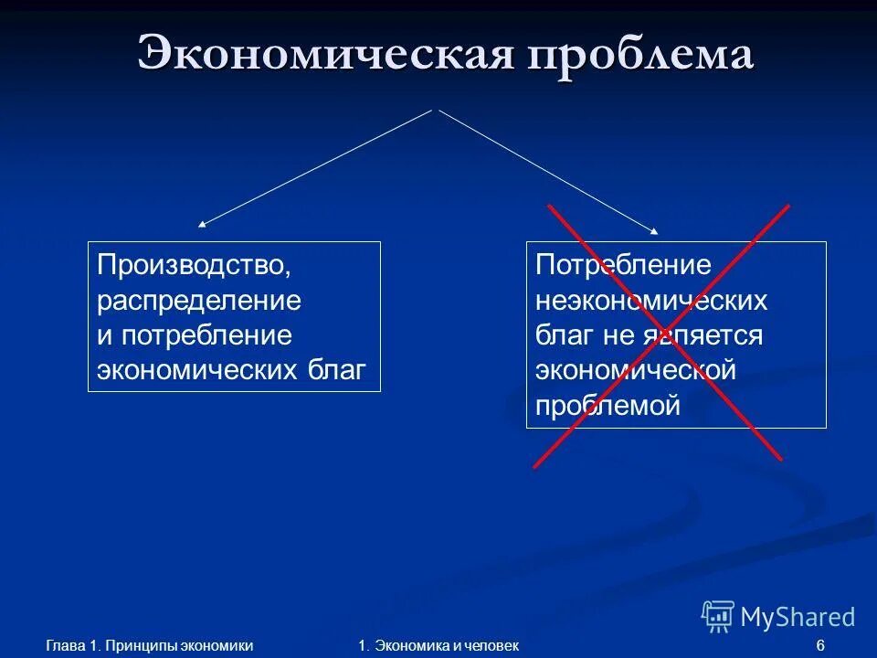 экономические проблемы производства и потребления. техническая подготовка производства. принципы экономической эффективности компании означает. основные экономические принципы. принципы обращения с отходами.